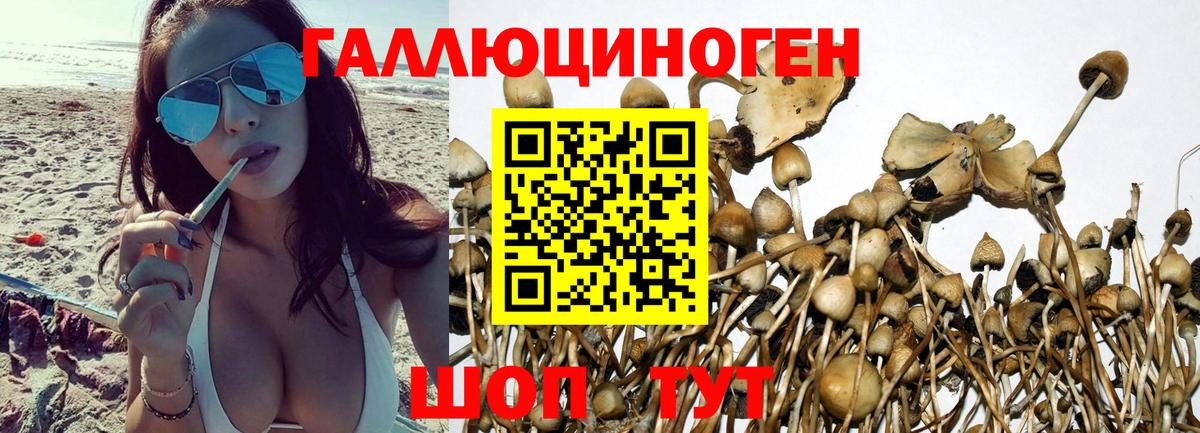 Галлюциногенные грибы ЛСД Екатеринбург