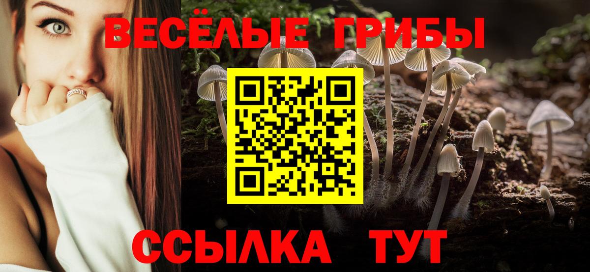 Екатеринбург  Галлюциногенные грибы Psilocybine cubensis  Вход с VPN 